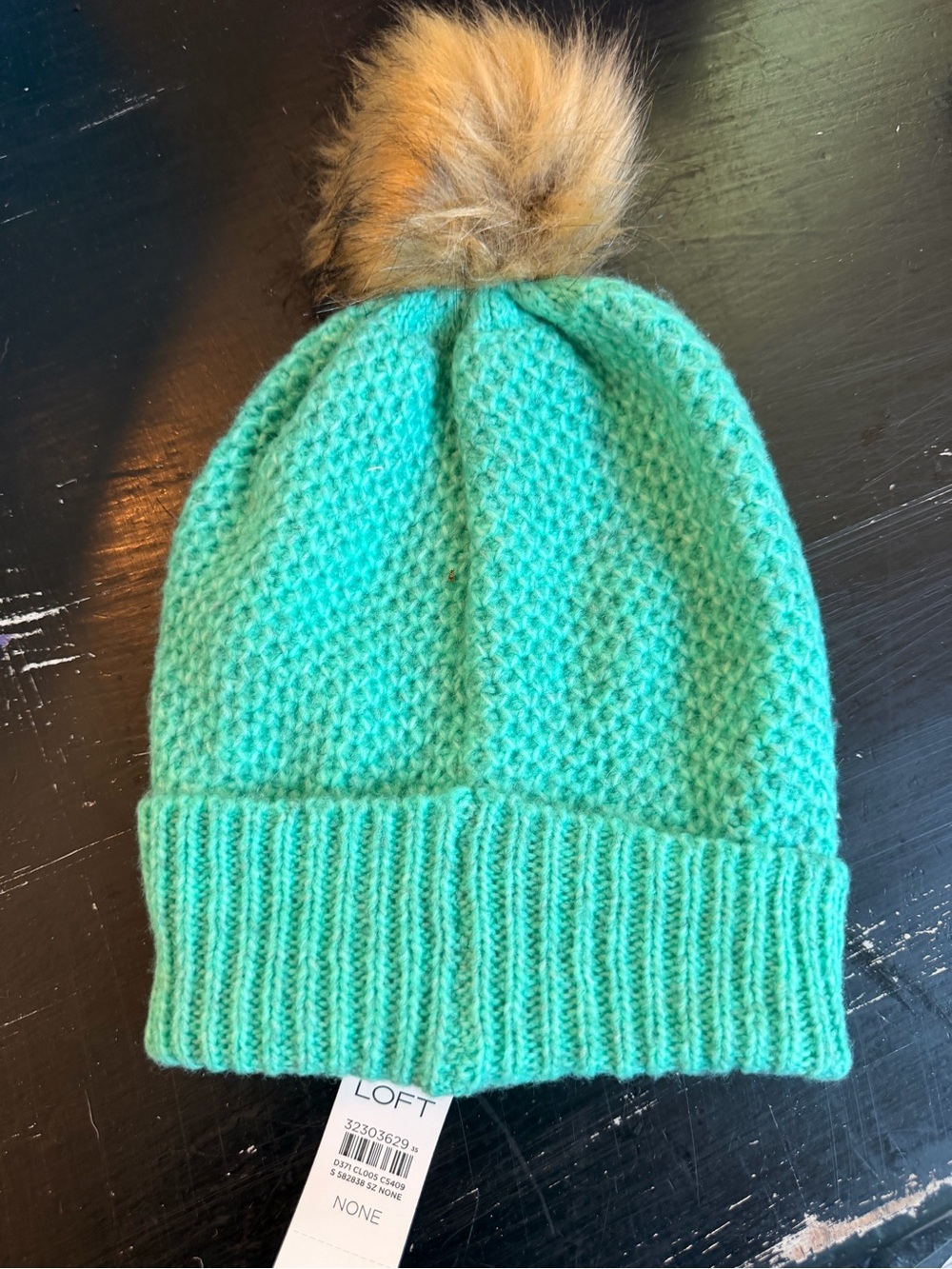 LOFT Mint Green Knit Pom Beanie